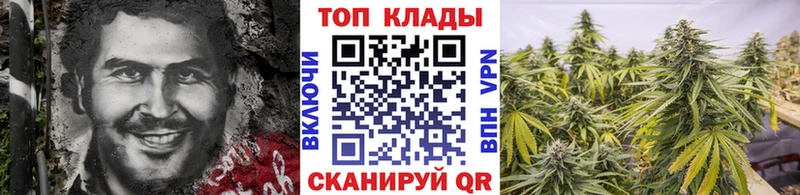 Где найти наркотики Волхов Конопля  Меф  ГАШ 